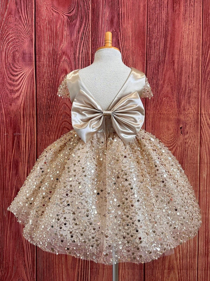3m / Champagne Sunnypetal Champagne Satin Bodice V Back Sequins Tulle Flower Girl Dresses
