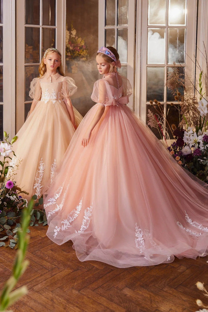 3m / Light Cappuccino Sunnypetal Fairytale Floral Tulle Ball Gown for Flower Girls & Special Occasions