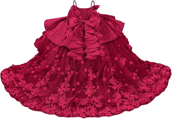 18m / Burgundy Sunnypetal Sparkling 3D Floral Beaded Off-Shoulder Pageant Dress for Girls