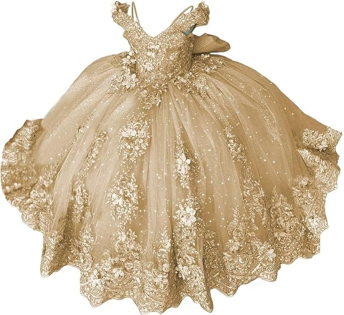 18m / Champagne Sunnypetal Lace Appliqué 3D Flower Girl Dress with Bow for First Communion &amp; Pageant