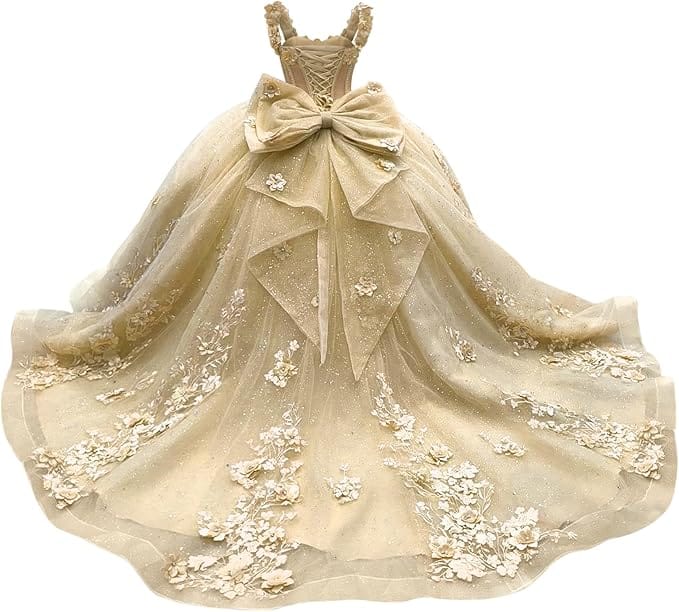 18m / Champagne Sunnypetal Light Blue 3D Floral Appliqué Tulle Ball Gown Flower Girl Dress with Bow