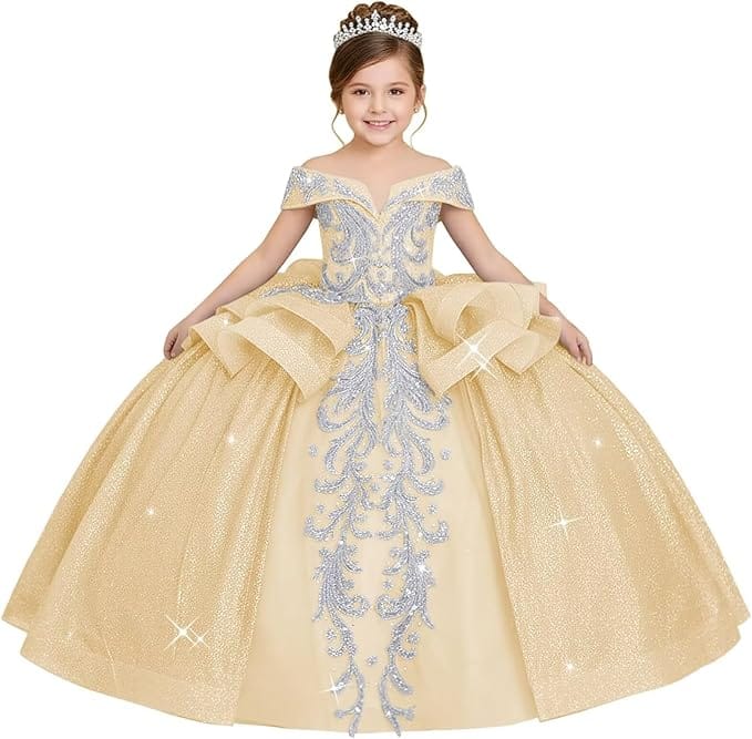 18m / Champagne Sunnypetal Off-the-Shoulder Glitter Princess Flower Girl Dress with Lace Appliqués