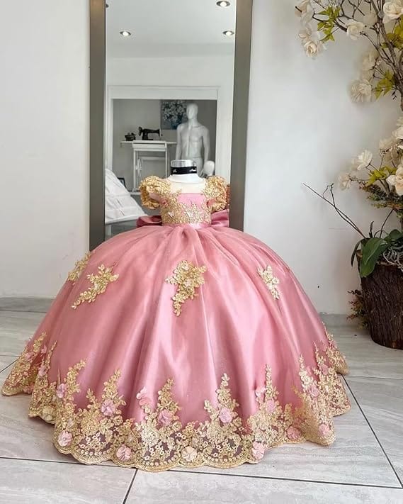 18m / Dusty Pink Sunnypetal Gold Appliqué 3D Floral Beaded Flower Girl Dress with Bow and Train