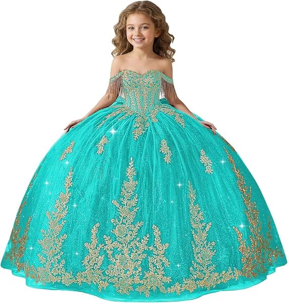 Aqua / 18m Sunnypetal Black Off-Shoulder Floral Embroidery Flower Girl Ball Gown
