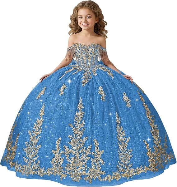 Blue / 18m Sunnypetal Black Off-Shoulder Floral Embroidery Flower Girl Ball Gown