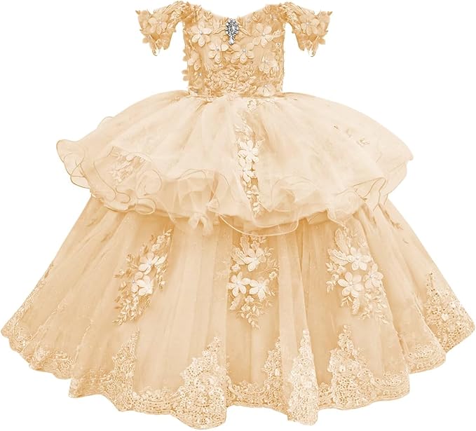 Champagne / 18m Sunnypetal Elegant Off-Shoulder Tulle Ball Gown Flower Girl Dress with 3D Floral Appliqués