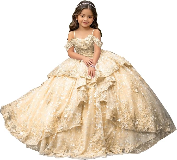 Champagne / 18m Sunnypetal Exquisite Off-Shoulder 3D Floral Appliqué Pageant Flower Girl Gown