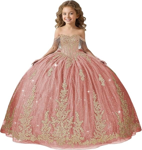 Dusty Rose / 18m Sunnypetal Black Off-Shoulder Floral Embroidery Flower Girl Ball Gown