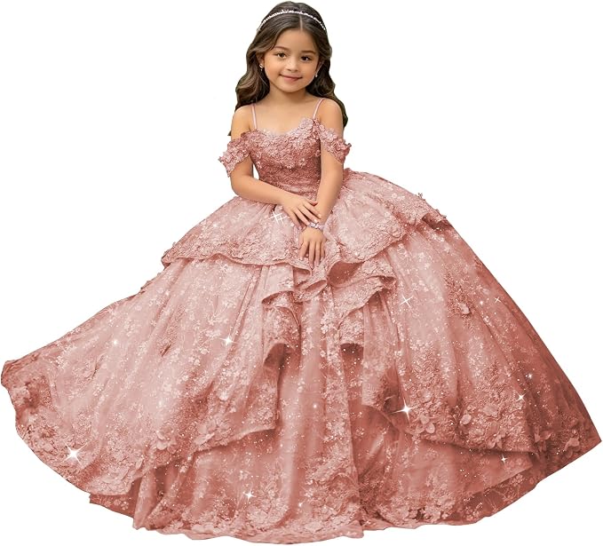 Dusty Rose / 18m Sunnypetal Exquisite Off-Shoulder 3D Floral Appliqué Pageant Flower Girl Gown