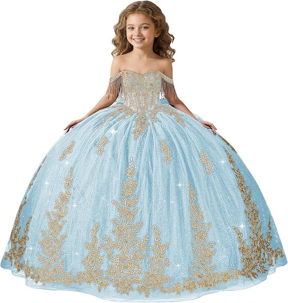 Light Blue / 18m Sunnypetal Black Off-Shoulder Floral Embroidery Flower Girl Ball Gown