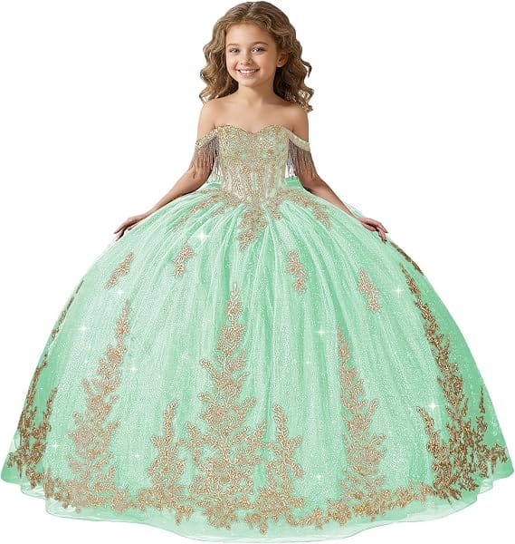 Mint Green / 18m Sunnypetal Black Off-Shoulder Floral Embroidery Flower Girl Ball Gown