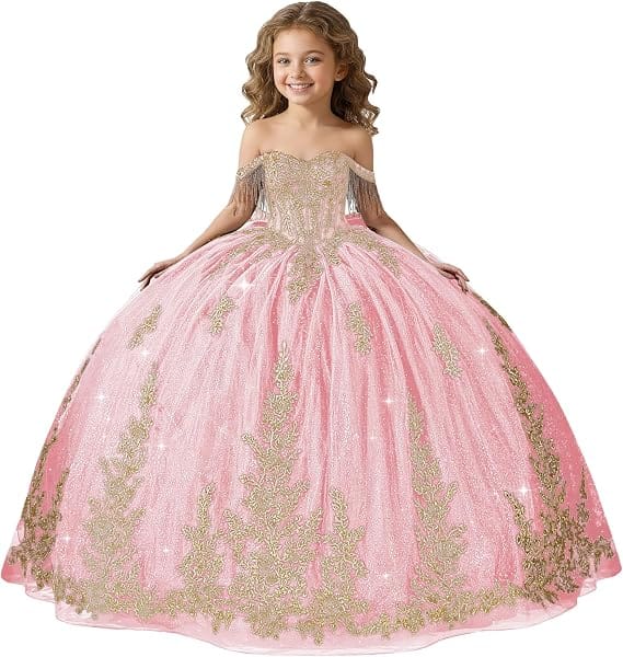 Pink / 18m Sunnypetal Black Off-Shoulder Floral Embroidery Flower Girl Ball Gown
