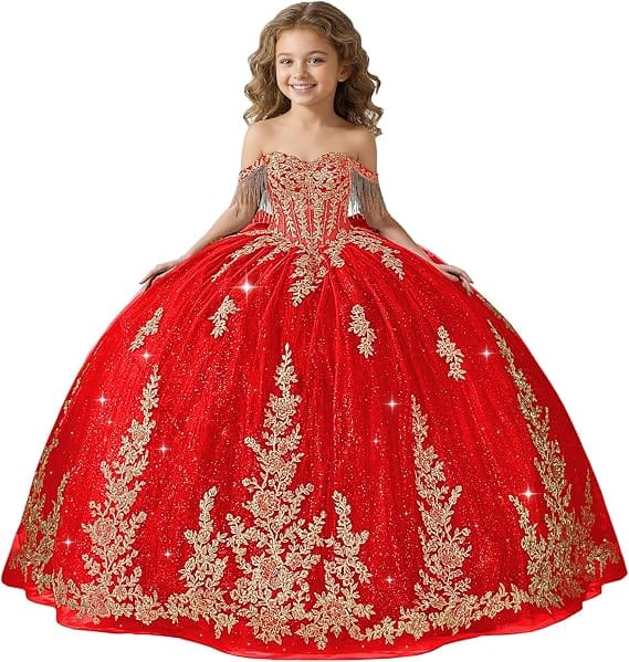Red / 18m Sunnypetal Black Off-Shoulder Floral Embroidery Flower Girl Ball Gown