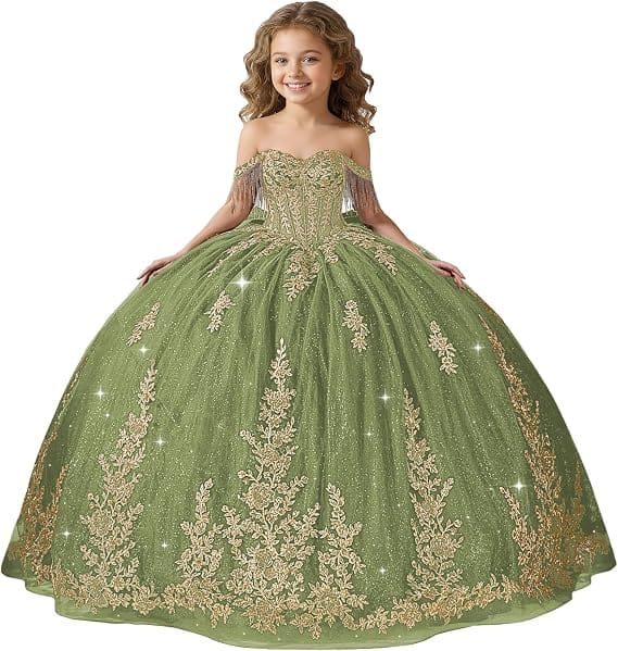 Sage Green / 18m Sunnypetal Black Off-Shoulder Floral Embroidery Flower Girl Ball Gown
