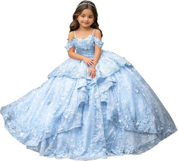 Sky Blue / 18m Sunnypetal Exquisite Off-Shoulder 3D Floral Appliqué Pageant Flower Girl Gown