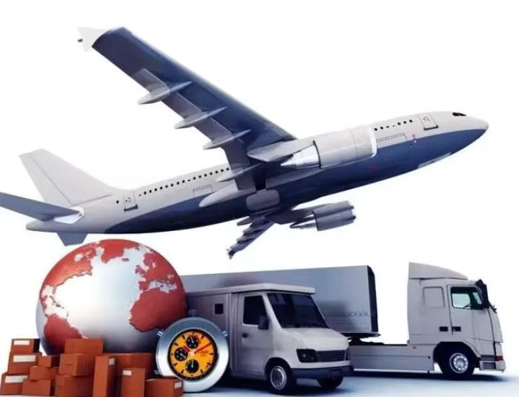 Standard Shipping Sunnypetal Expedited/Standard Shipping（United States/Canada）